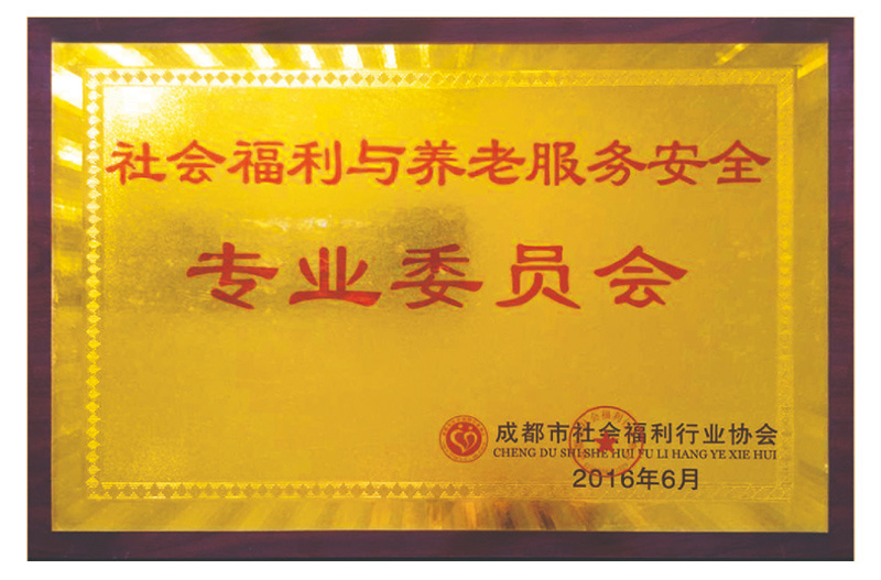 專業(yè)委員會(huì)