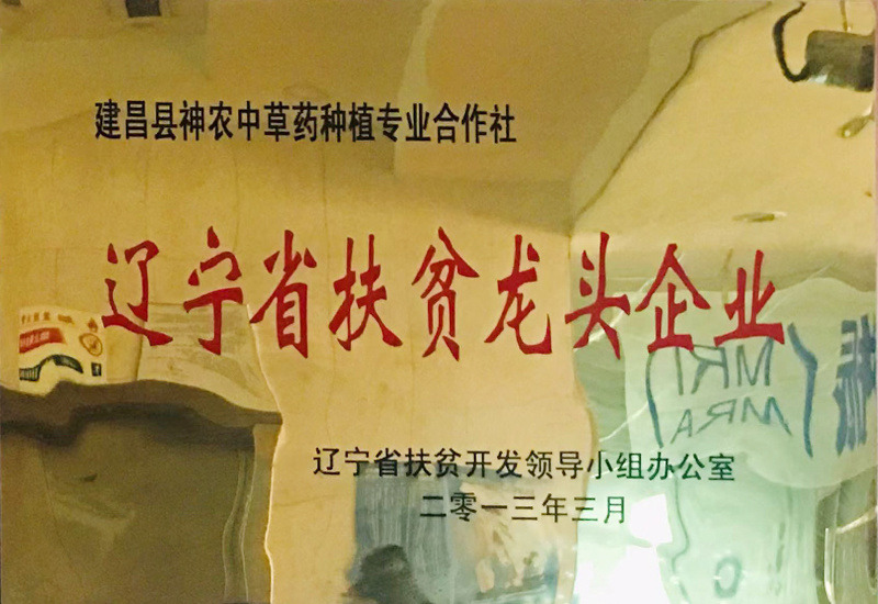 遼寧省扶貧龍頭企業(yè)