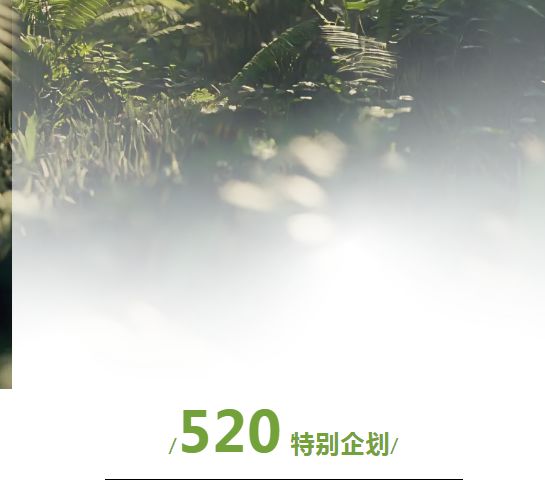 520特別企劃｜瑞晨環(huán)保的“綠色情書”