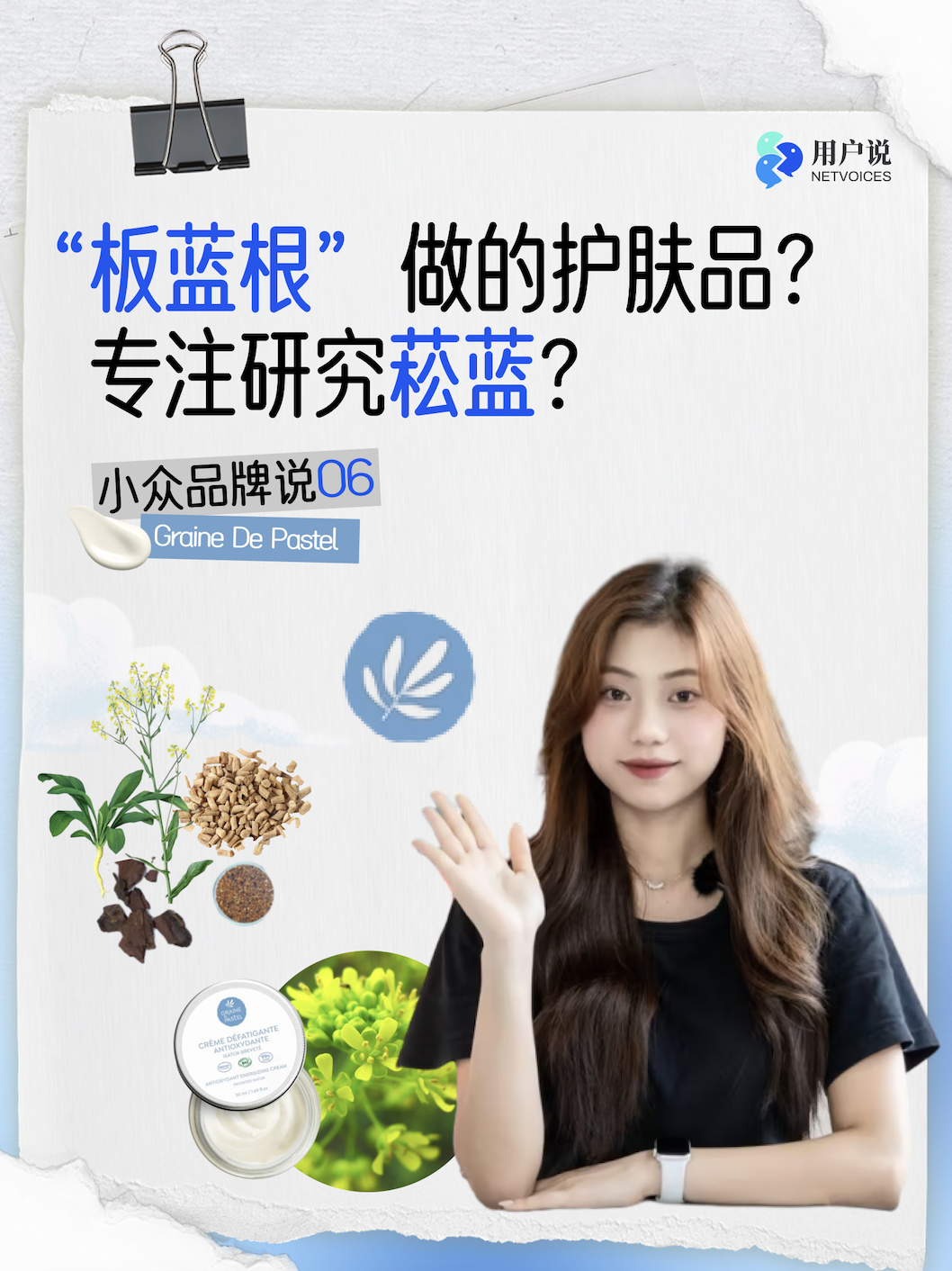 第6期 菘蓝种子