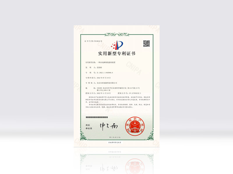 一种水电解制氢提纯装置