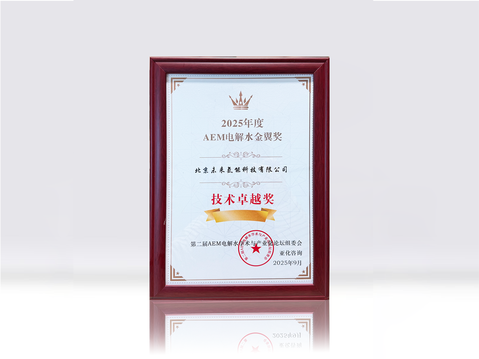2025年度AEM电解水金翼奖——技术卓越奖