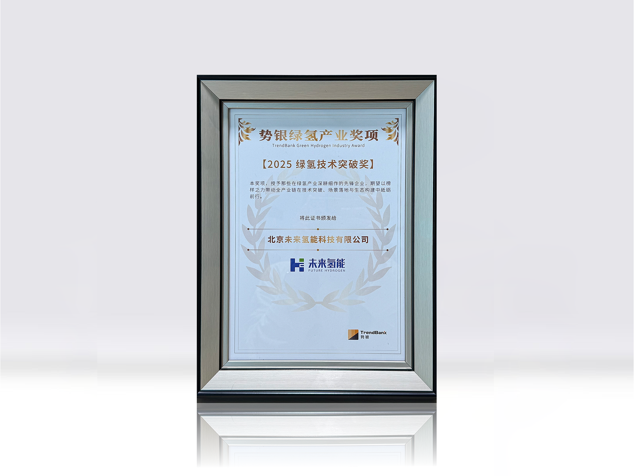 2025绿氢突破奖