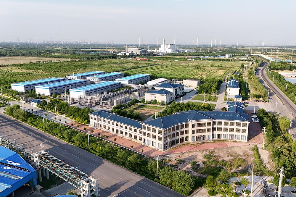 公司全景