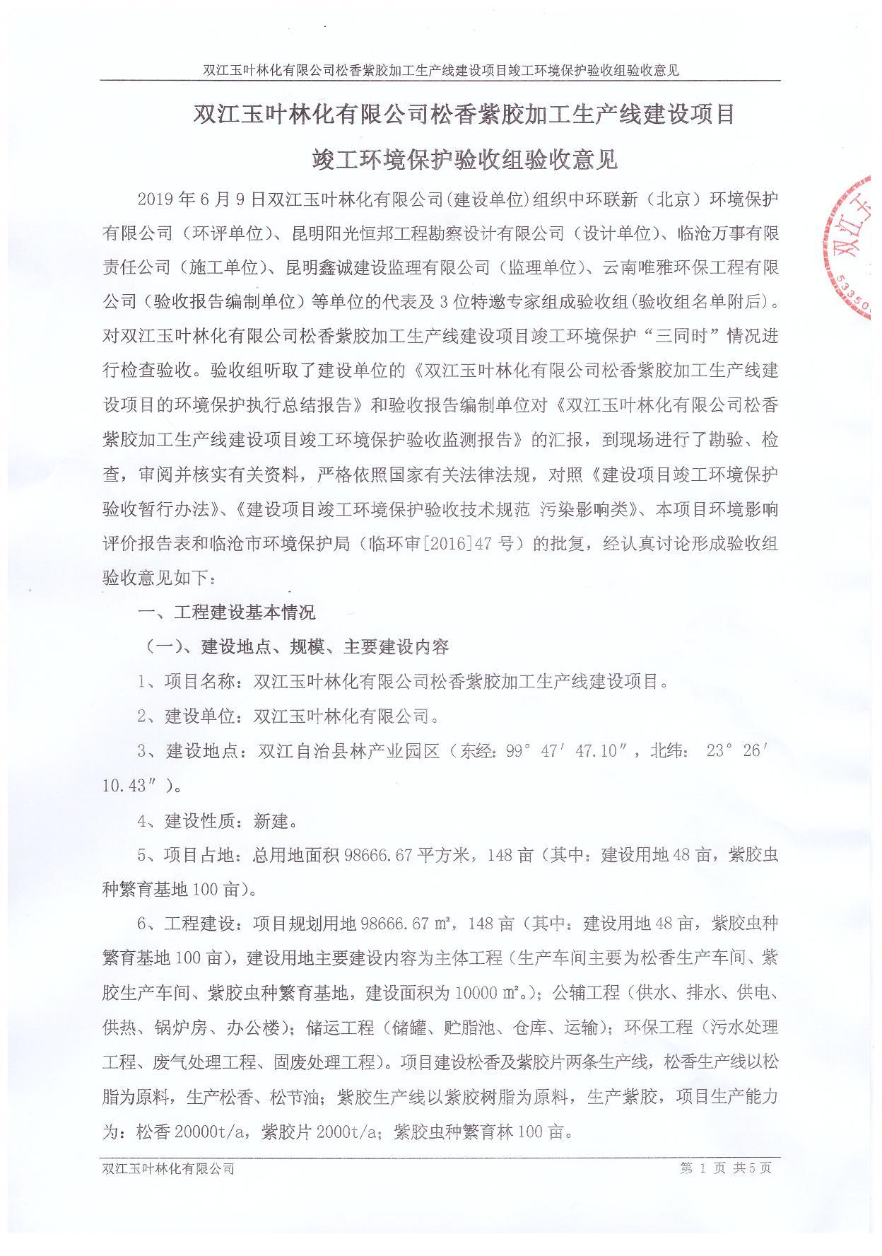 双江玉叶林化有限公司验收意见及签到表