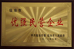 Youqiang Private Enterprise