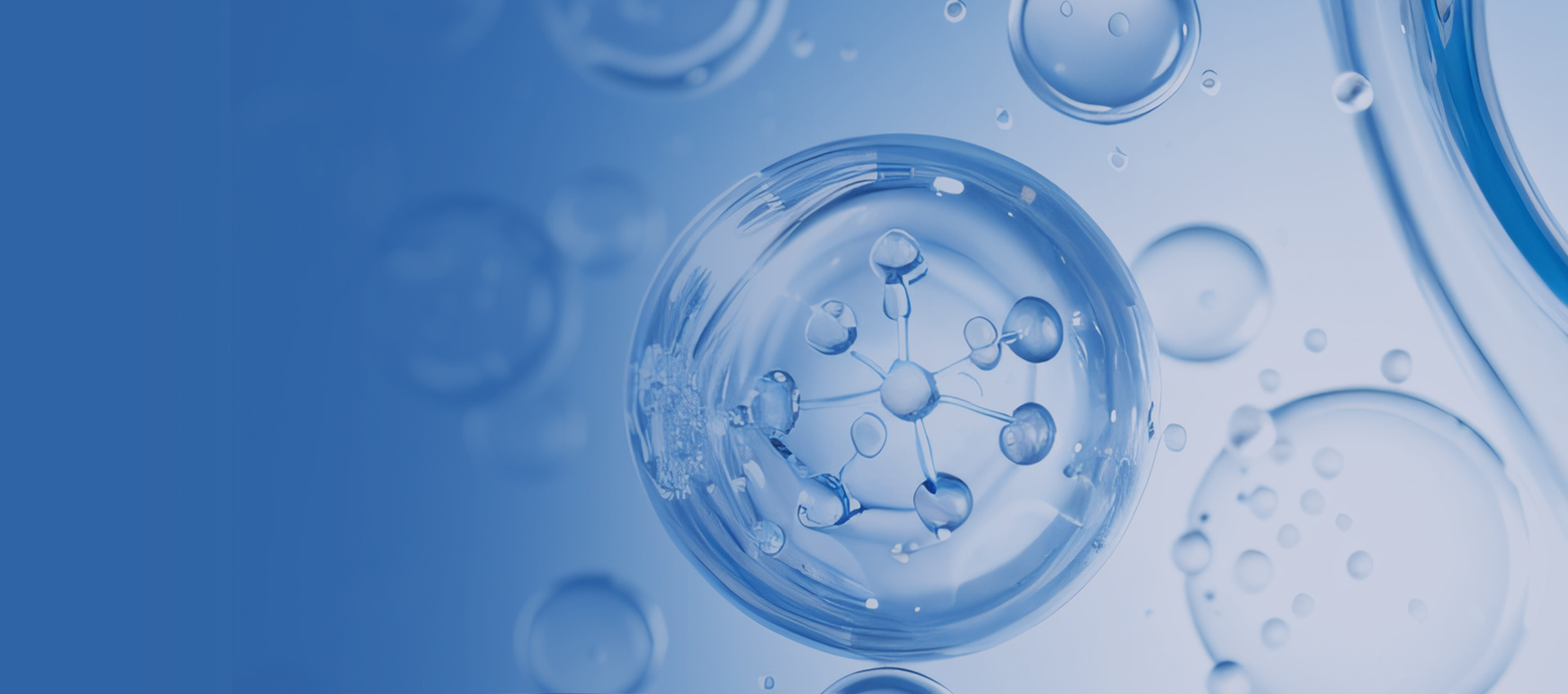 Sothern Element Biotech