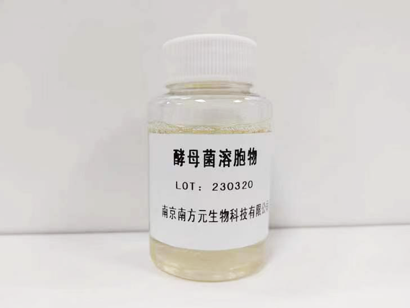 裂殖酵母液