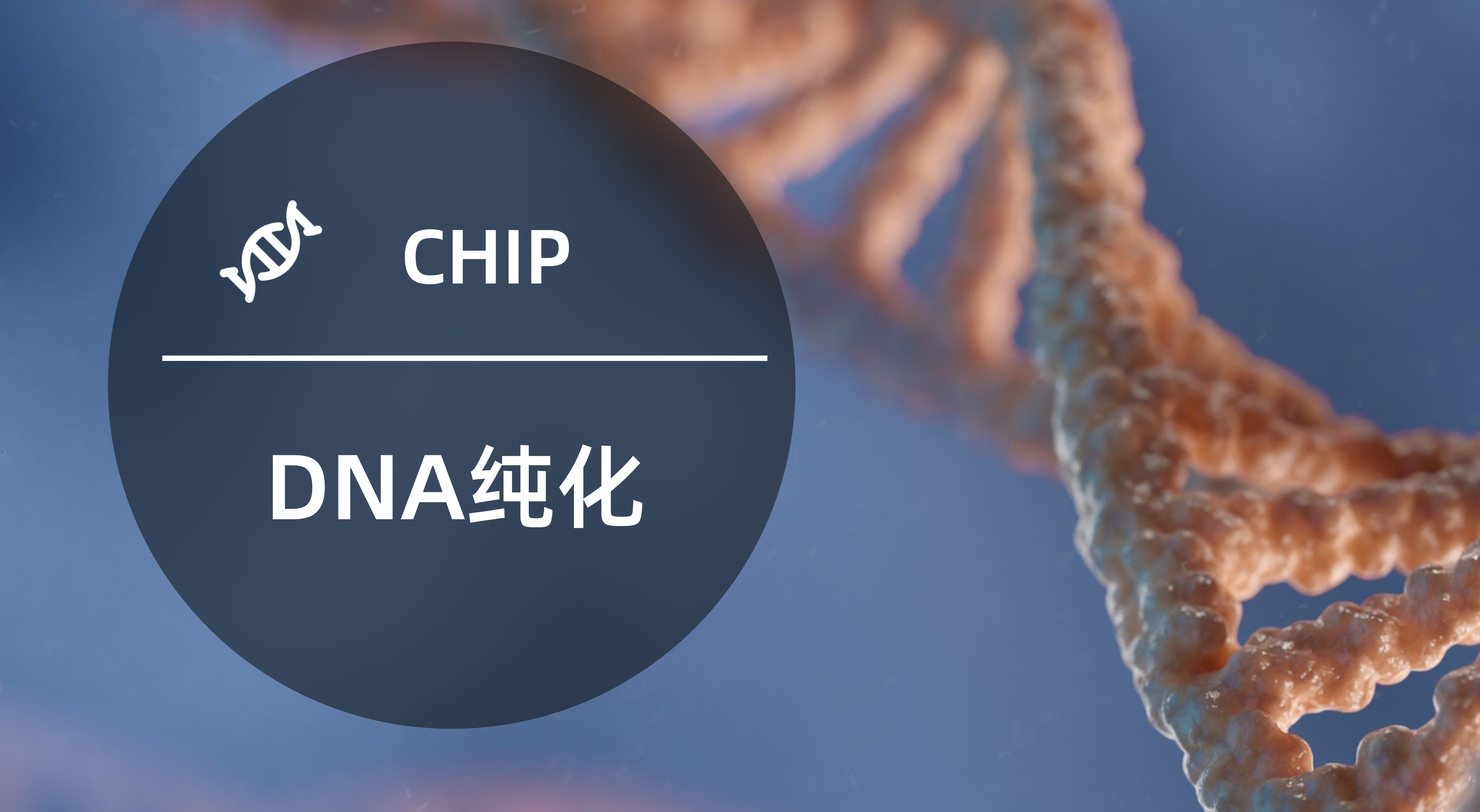 如何提取高質量的RNA和DNA？