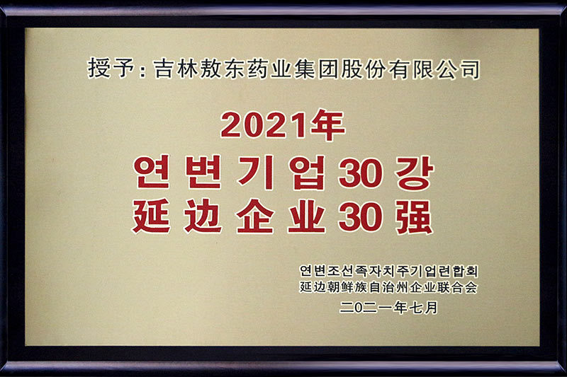 延邊企業(yè)30強