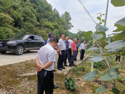 湖南省湘筑工程有限公司