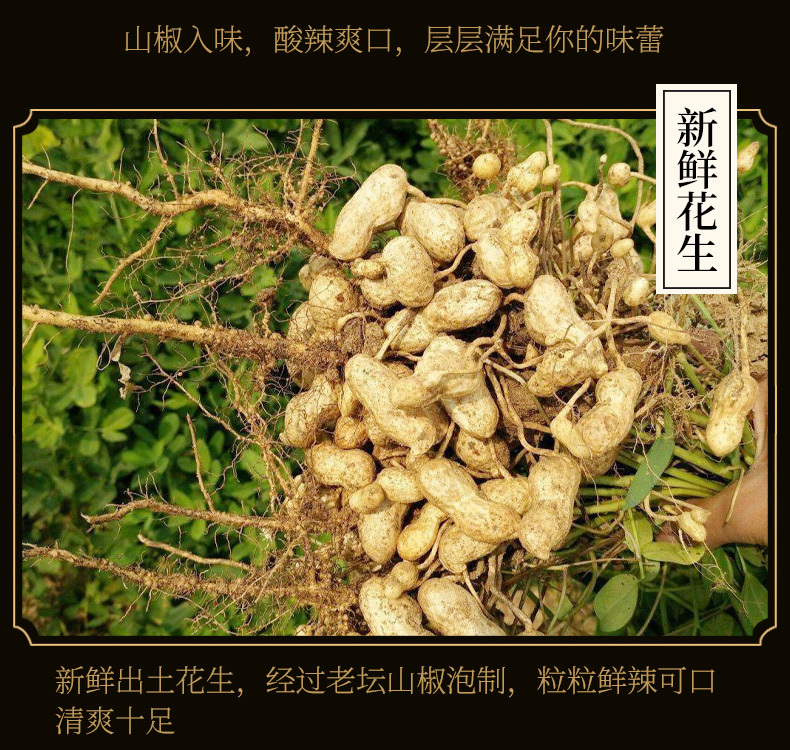 山椒花生