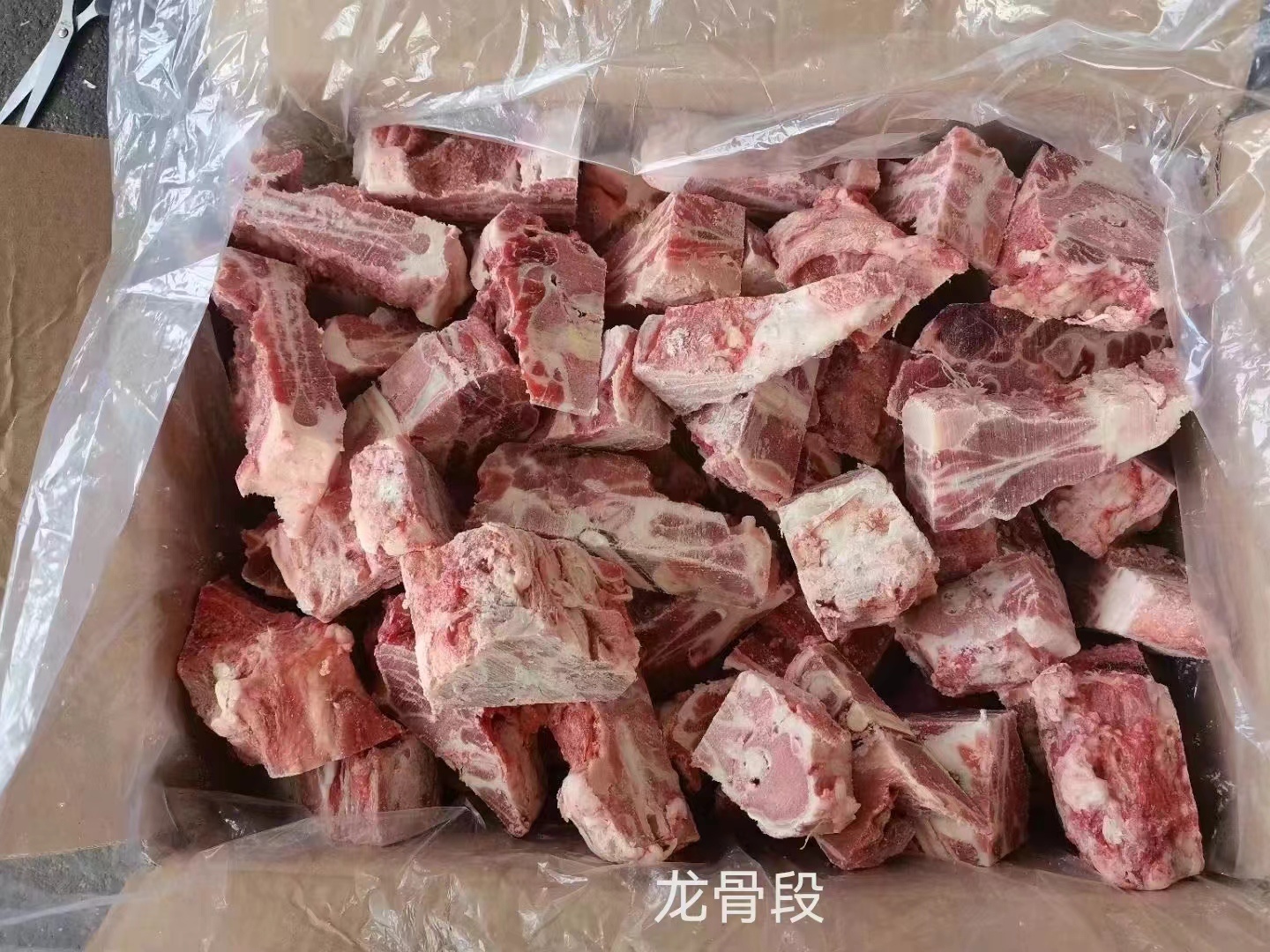 龍骨段