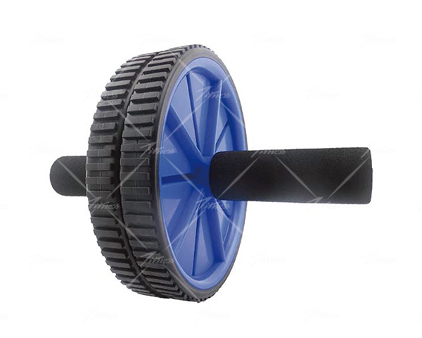 Exercise Wheel