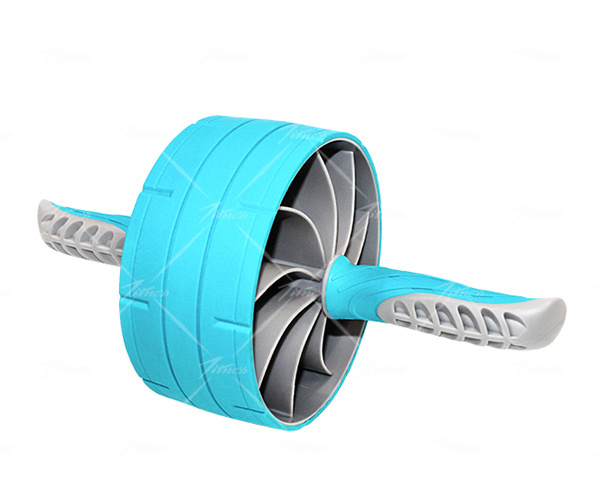 Exercise Wheel