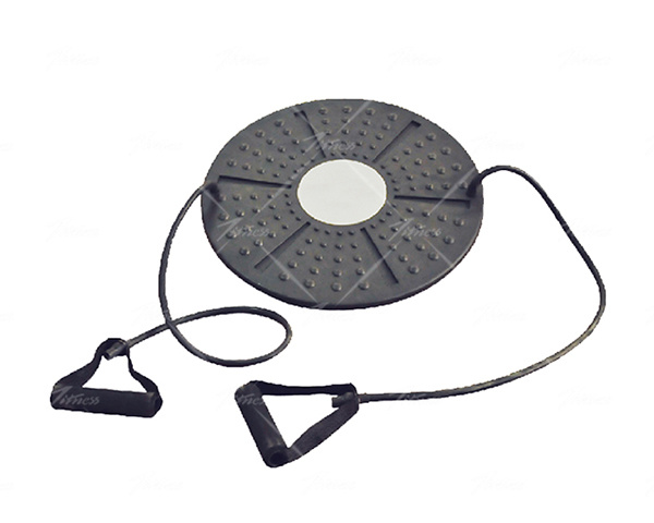 Balance Board With Handle