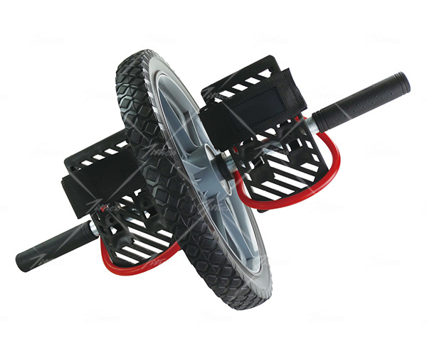 Exercise Wheel