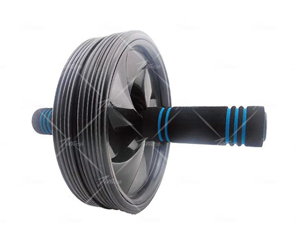 Exercise Wheel