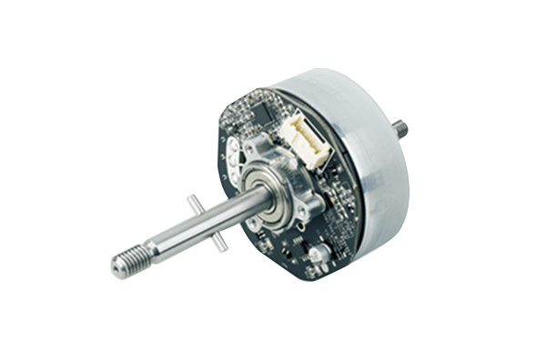 What are the components of the push rod DC motor