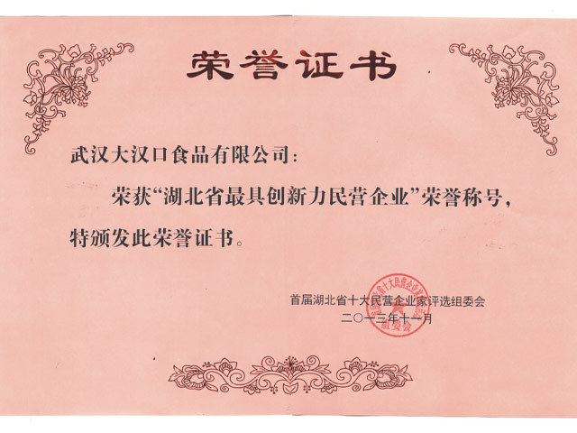 湖北省最具創新力民營企業
