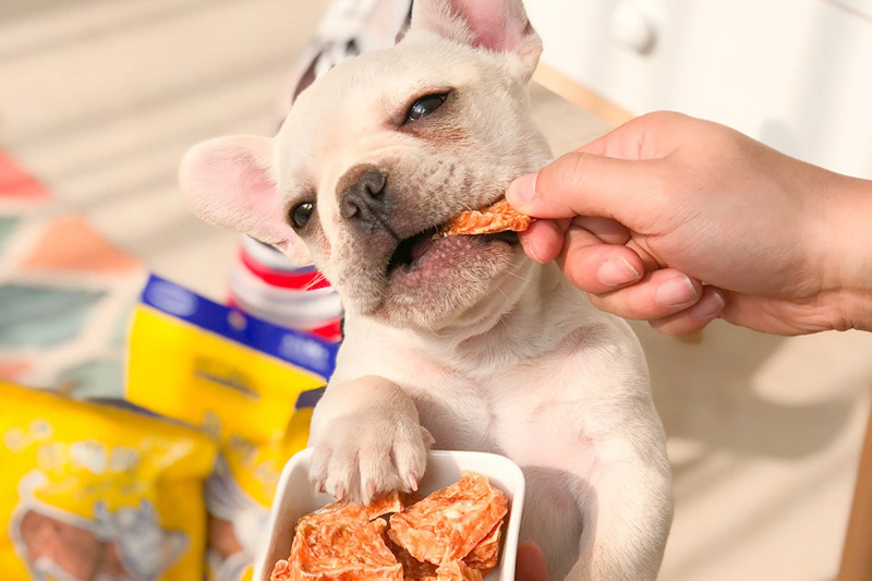 How do you see the competitive landscape and development trend of China's pet food industry?