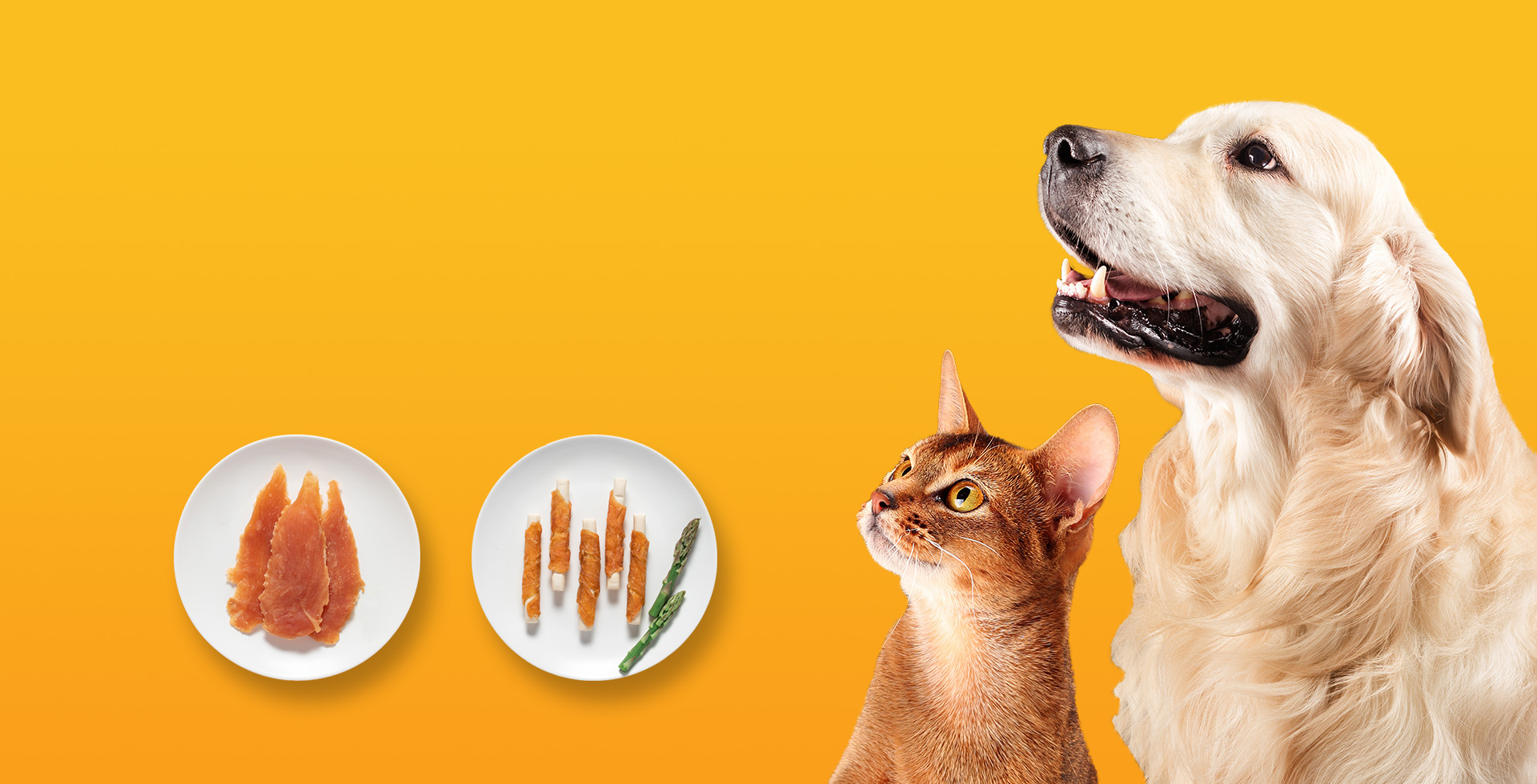 Professional Pet Food Manufacturer