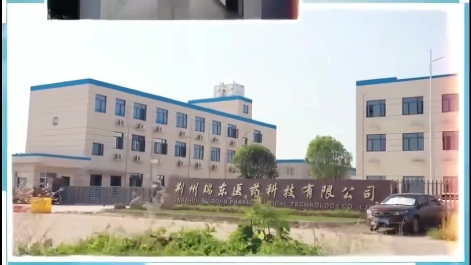 荆州瑞东医药科技有限公司.mp4