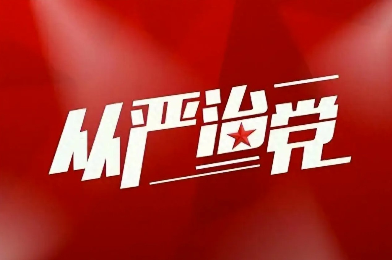 提高管黨治黨的精準(zhǔn)性、實(shí)效性