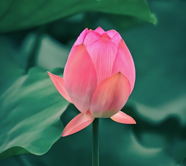 給年輕干部提個(gè)醒丨懷德自重，情趣健康
