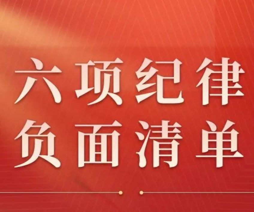 六項(xiàng)紀(jì)律“負(fù)面清單”之組織紀(jì)律篇