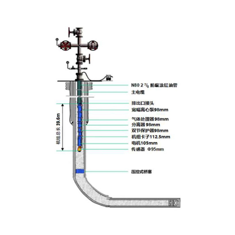 Submersible electric pump service