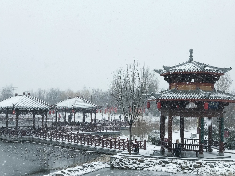 冬季雪景