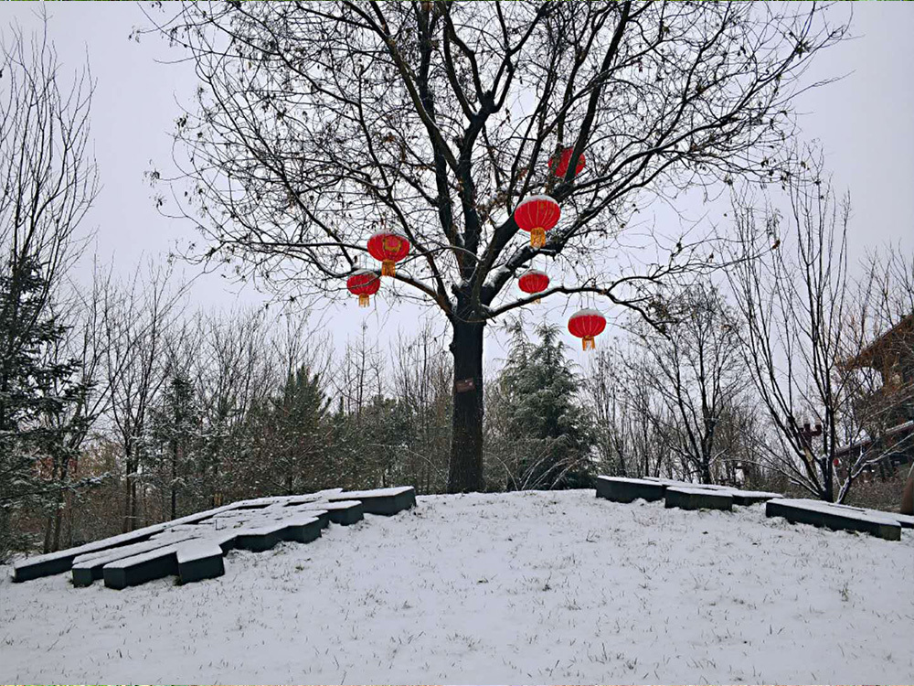 雪中晋园