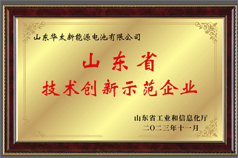 山东省技术创新示范企业