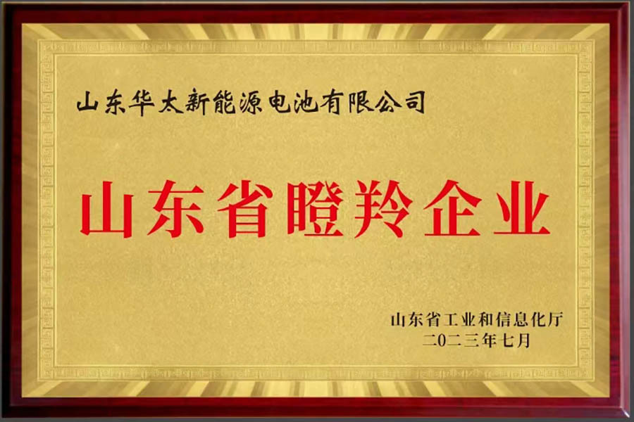 山东省瞪羚企业