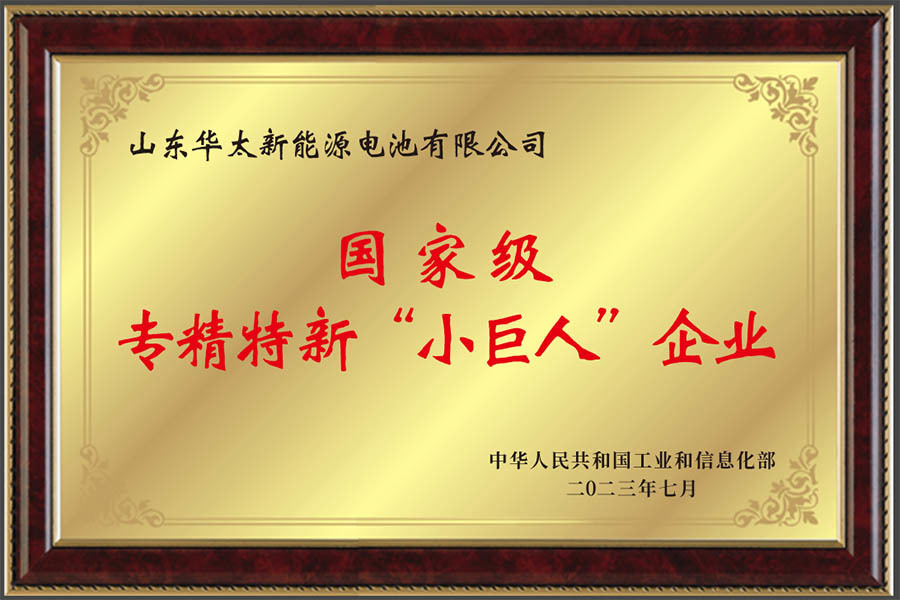 国家级专精特新小巨人企业