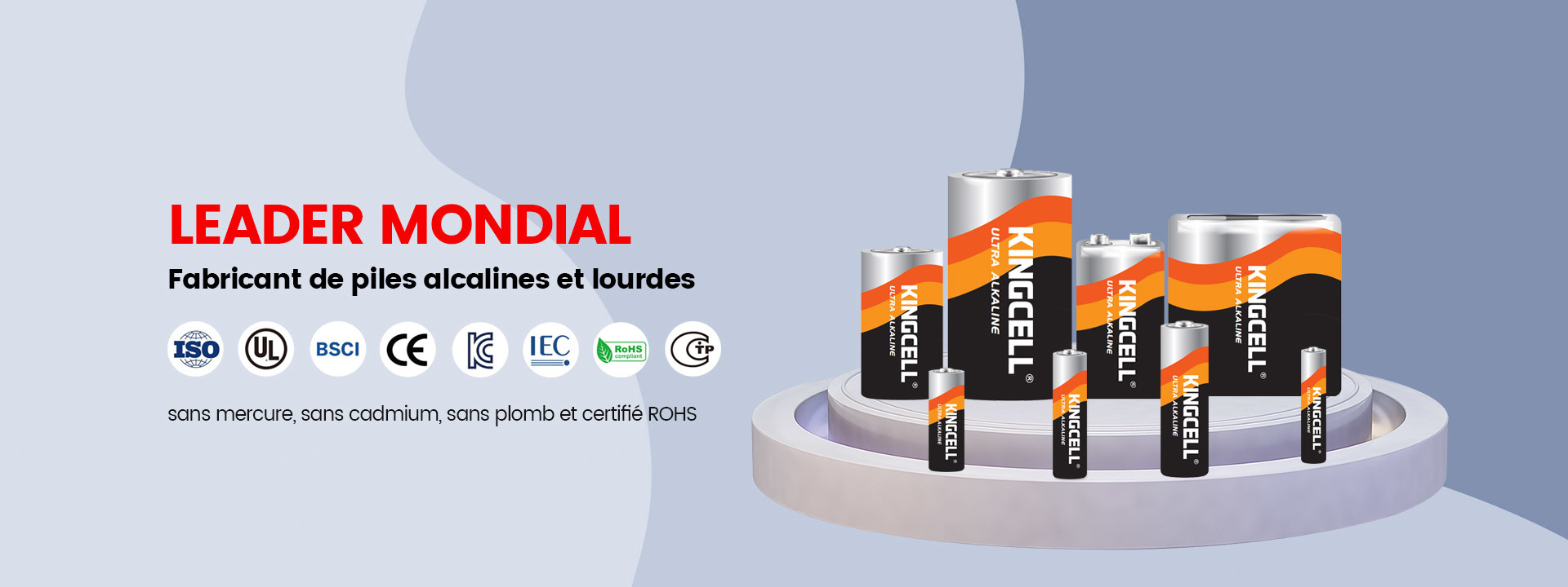 Fabricant de piles alcalines et lourdes leader mondial