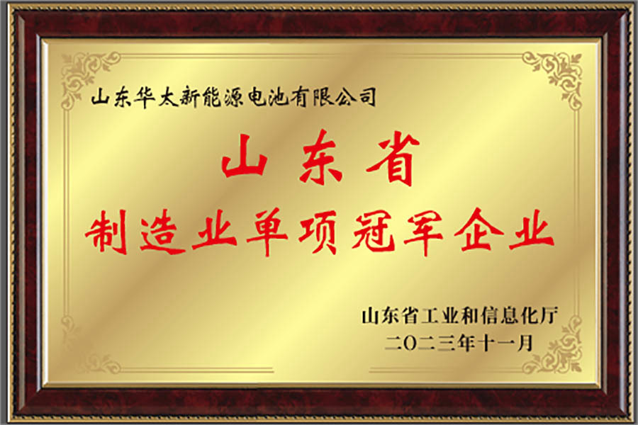 山东省制造业单项冠军企业