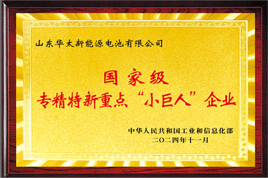 国家级专精特新重点小巨人企业