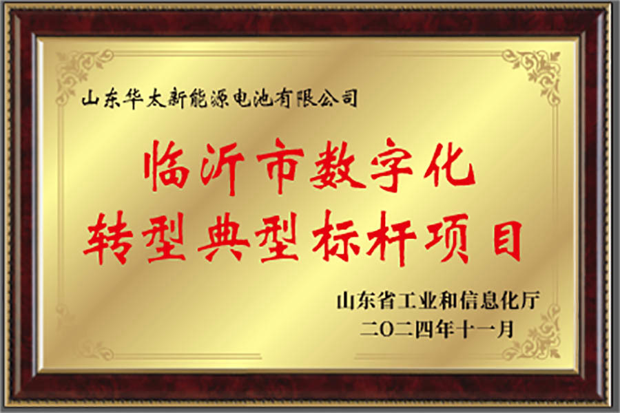 临沂市数字化转型典型标杆项目