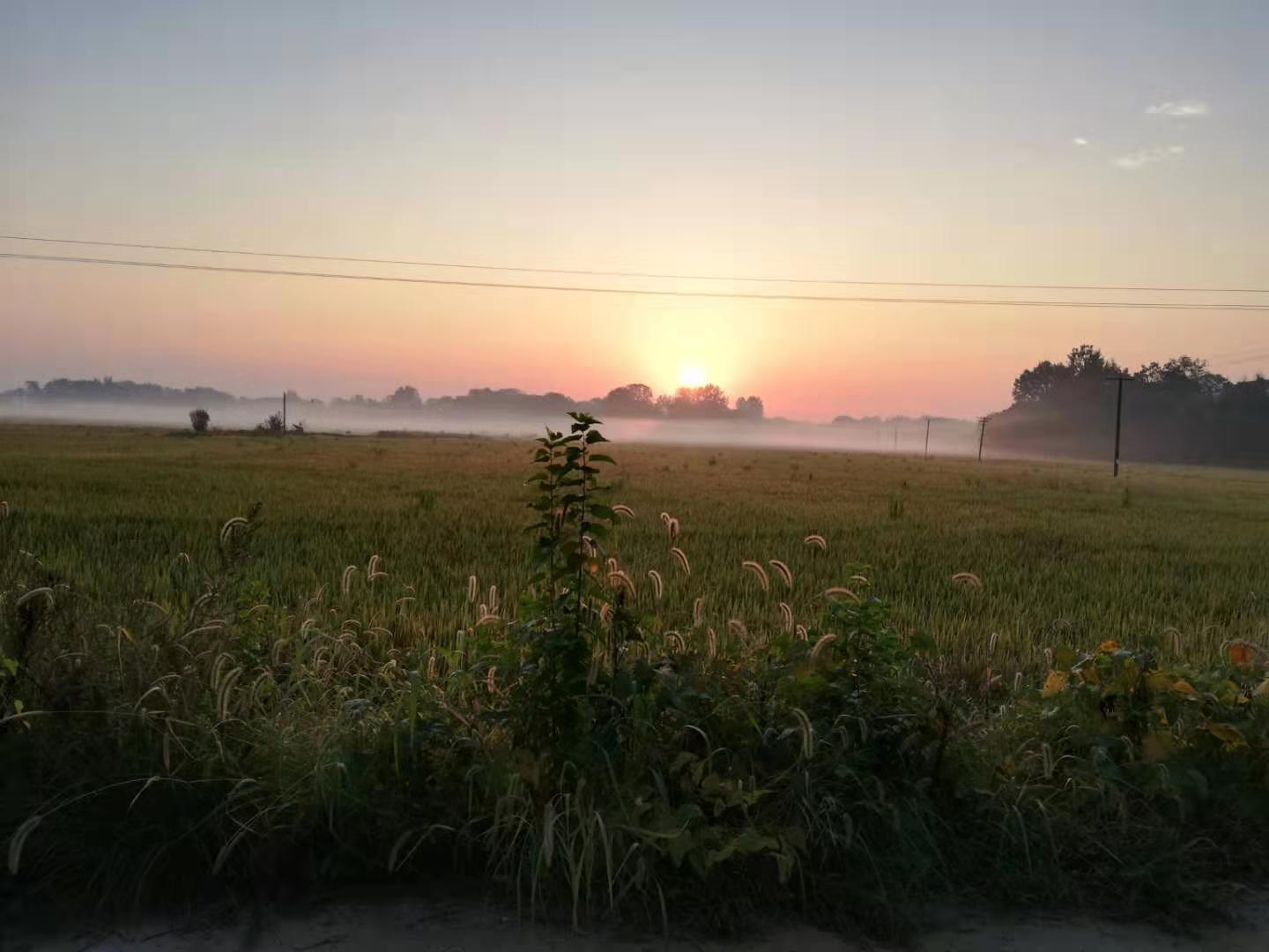 生活照片