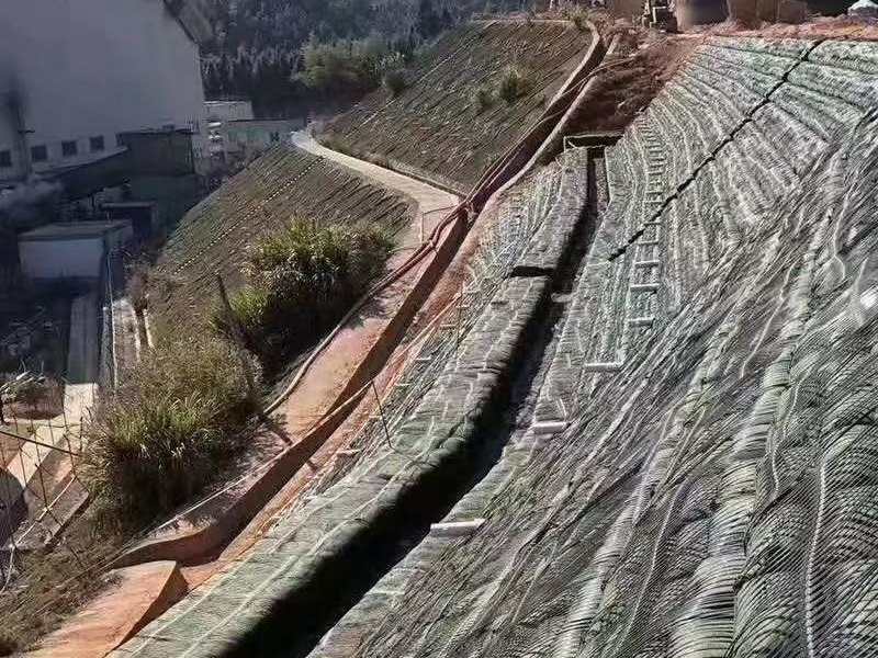 Caso
