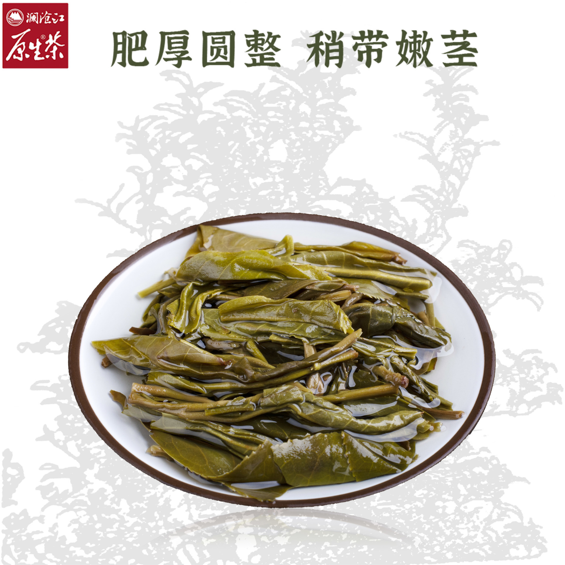 茶房老樹(shù)生餅