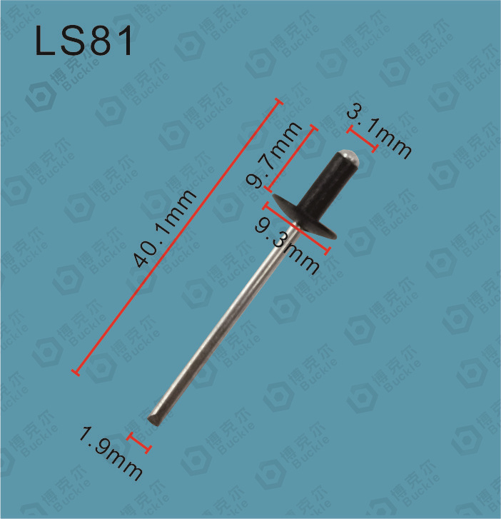 LS81
