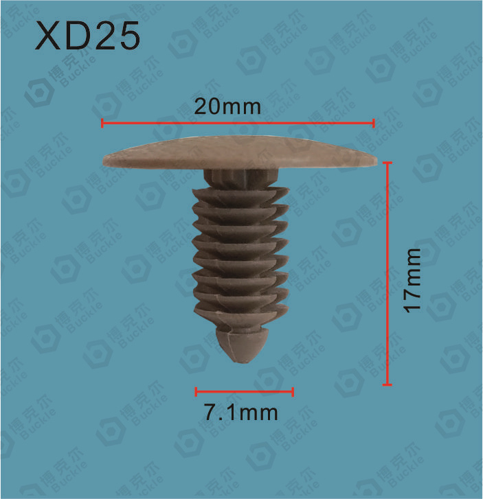 XD25