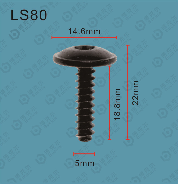 LS80