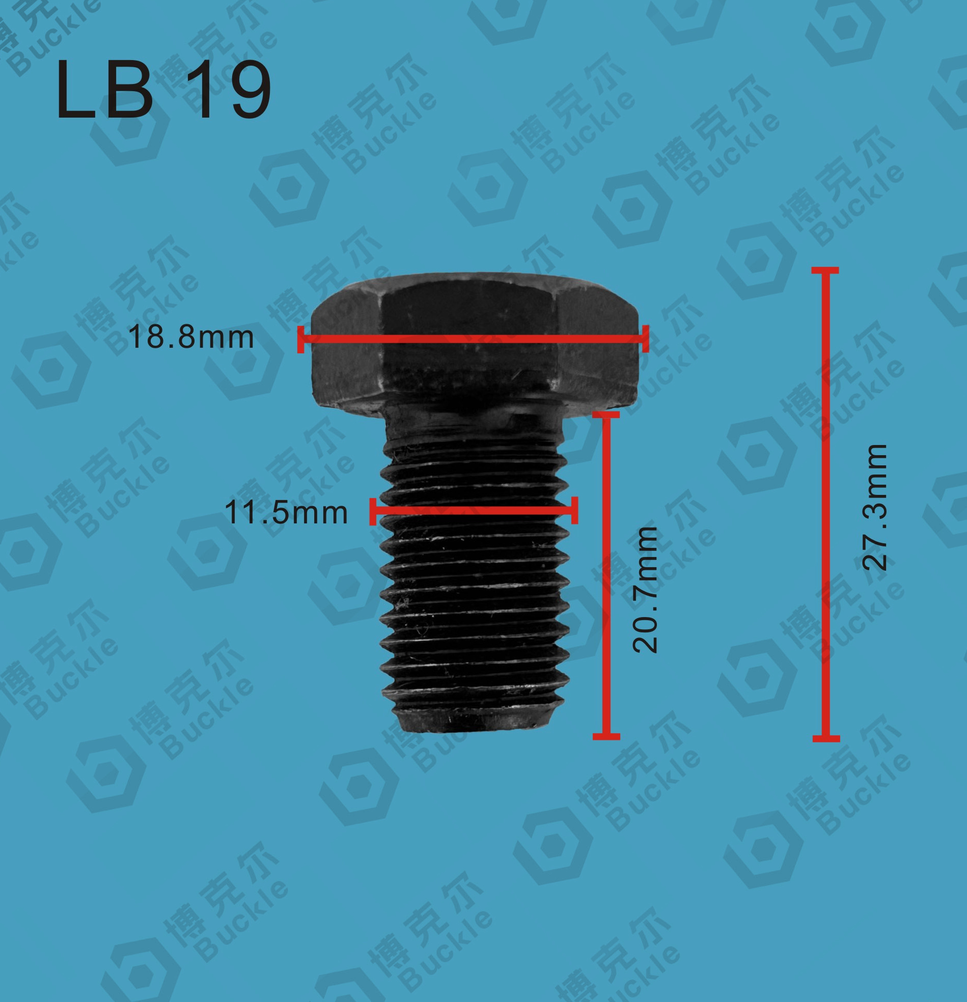 LB19