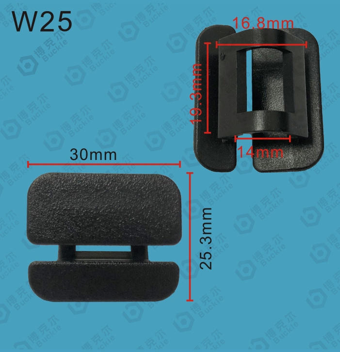 W25