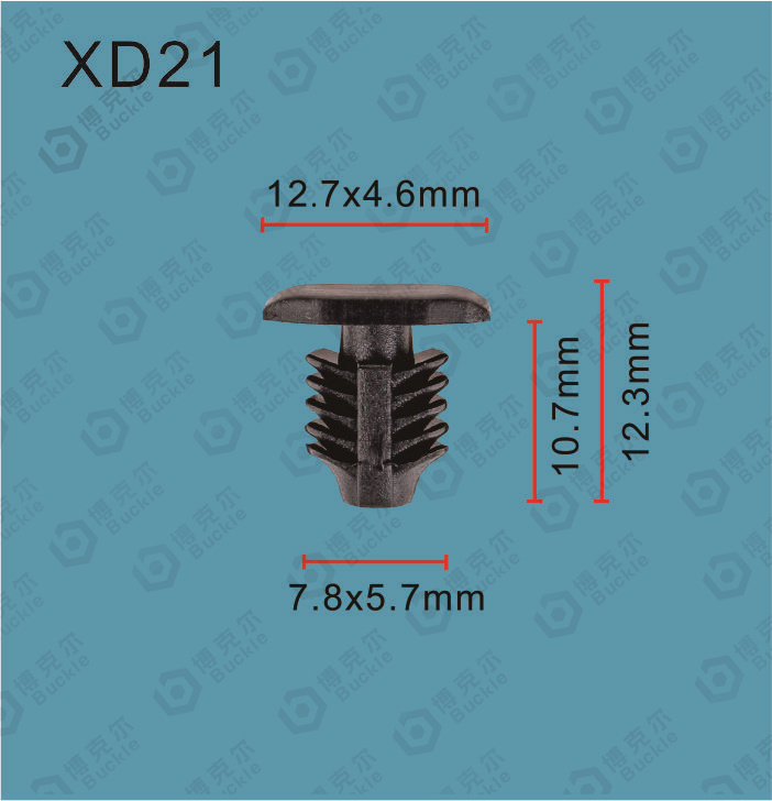 XD21