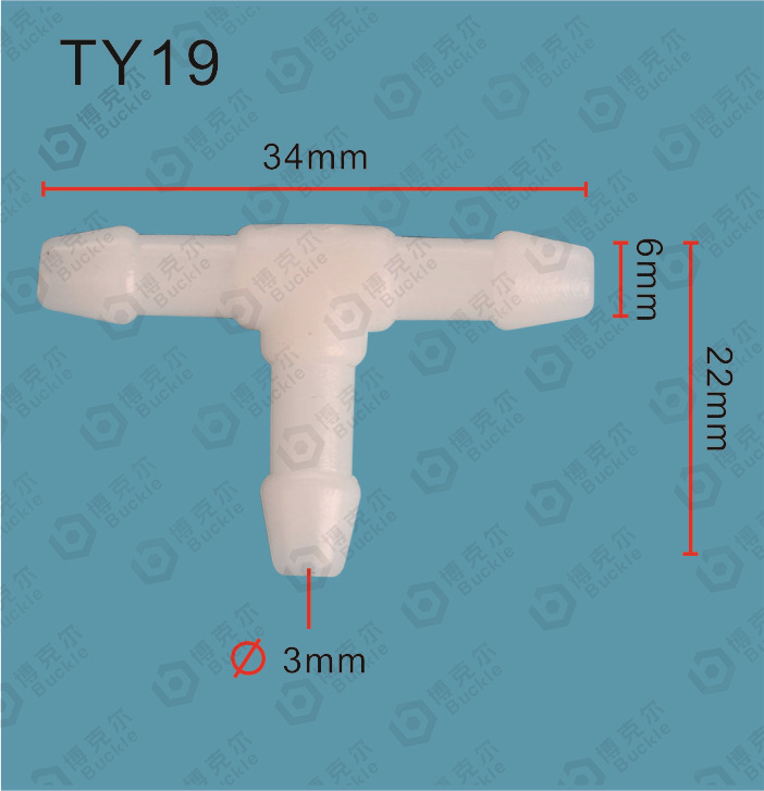 TY-19